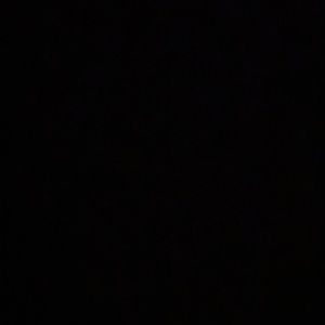 Meet your Posher, Annie